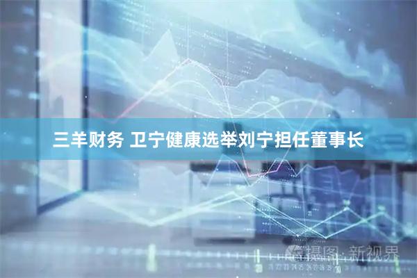 三羊财务 卫宁健康选举刘宁担任董事长
