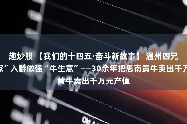 趣炒股 【我们的十四五·奋斗新故事】 温州四兄弟“举家”入黔做强“牛生意”——30余年把思南黄牛卖出千万元产值