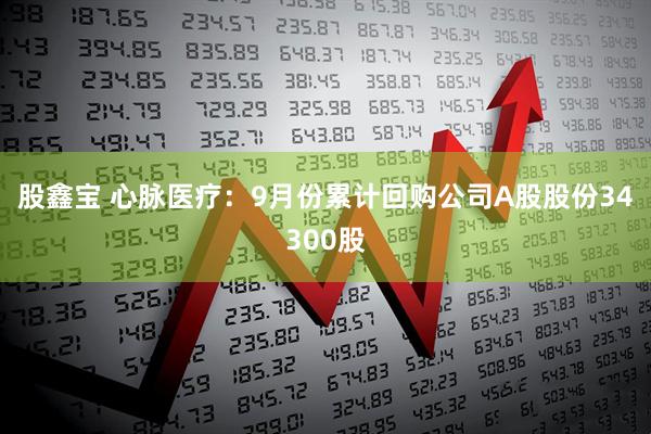 股鑫宝 心脉医疗：9月份累计回购公司A股股份34300股